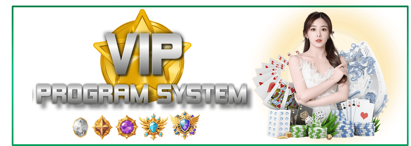 VIP Program Model Image